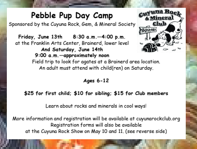 Pebble Pup Day Camp